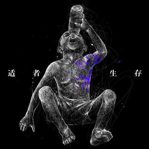 女王捏蛋调教cbt
